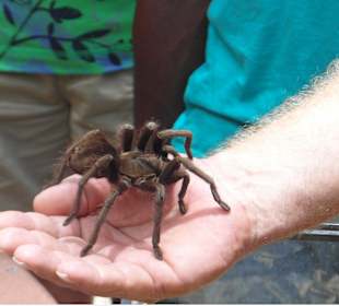 Jeder durfte sie streicheln