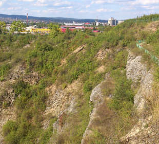 Rezerwat