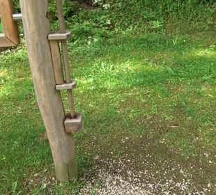 Phäno-Pfad Aichstetten