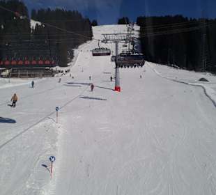 Skifahren