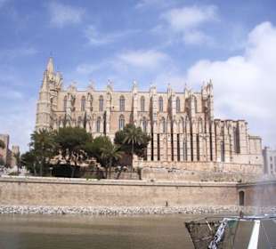 Palma