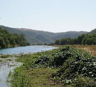 Blick aus dem Wadi
