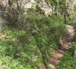 Aussichtspunkt Bichishausen