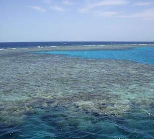 Das Riff bei unserem Delphinausflig