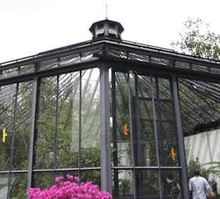 FIFA World Football Museum