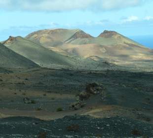 Blick im Nationalpark