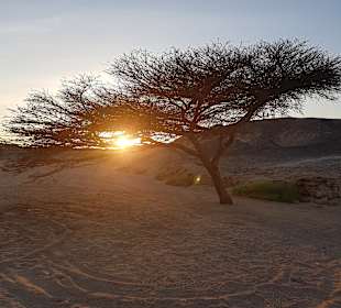 Quad Tour Marsa Alam
