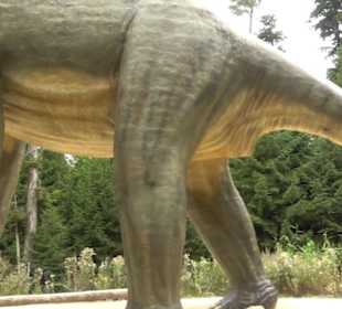 Dinosaurier Museum Altmühltal