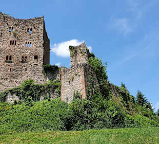 Burgruine Schauenburg Oberkirch