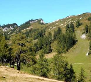 Wunderschöne Hochalm