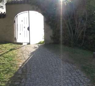 Friedhof Wurmlingen
