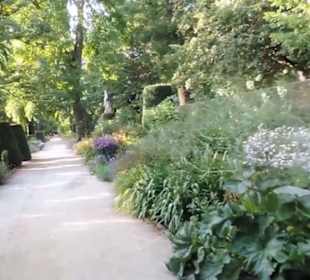 Real Jardín Botánico de Madrid
