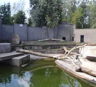 Zoo