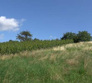 Hochgehnießen - Premiumspazierwanderweg