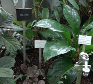 Tropicarium