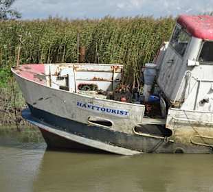 Morbider Charme im Traditionshafen Wischhafen