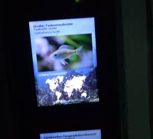 Tierpark Hellabrunn - Fische