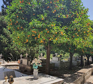Inselrundfahrt Kreta