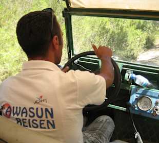 Unser Fahrer von hinten