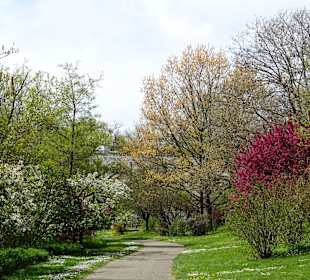Garten Hohenheim