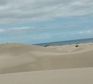 Dünen in Playa de Ingles zu Fuß bequem erreichbar