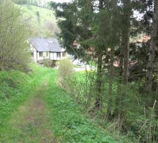 Premiumwanderweg Hochgebürzelt