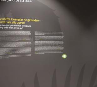 Dinosaurier Museum Altmühltal