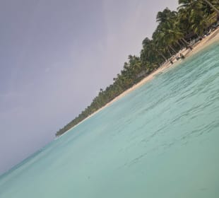 Saona