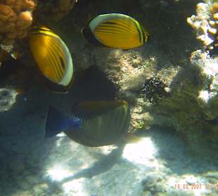 Hausriff- Hotel Cinderella Beach