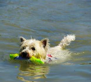 Bei den Buchten am Leuchtturm