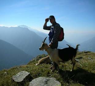 Begegnung in den Bergen