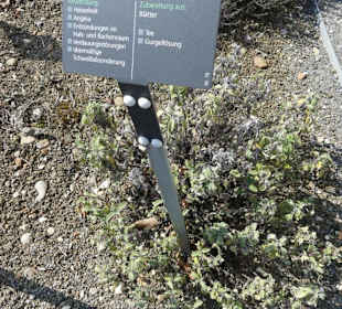 Erläuterungen der Kräuter