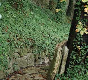 Imbergstiege / Kapuinerberg