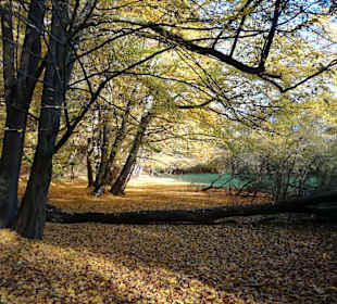 Wandern Meisdorf