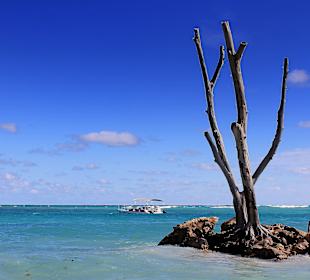 Plaża Bavaro - region Punta Cana