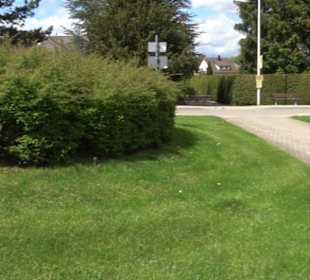 Turn- und Festhalle Stetten