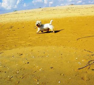 Ende September 2010 Inspirationen