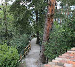 Im Garten