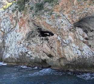 Gute 20 m sind es bis zum Schiff