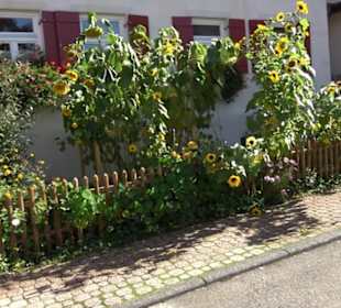 Dorfgemeinschaftshaus Upfingen