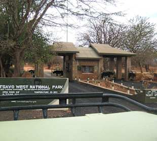 Severin Lodges Tsavo West