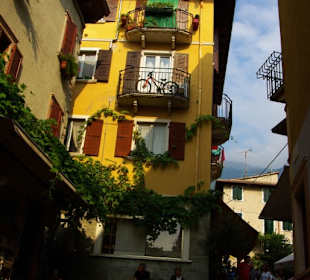 Einkaufen pur vor Ort