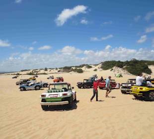 Buggys auf den Dünen