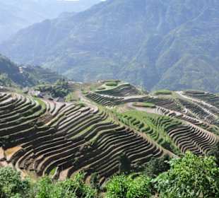 Reisterrassen PingAn