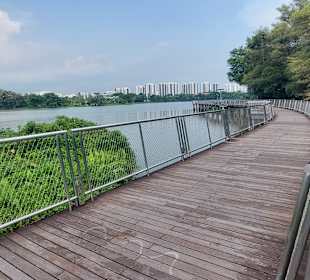 Jurong Lake und Gärten