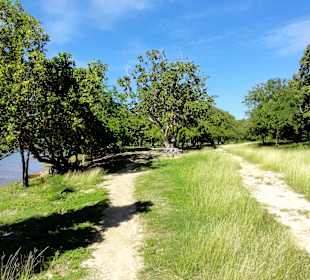 Weg zum Meer