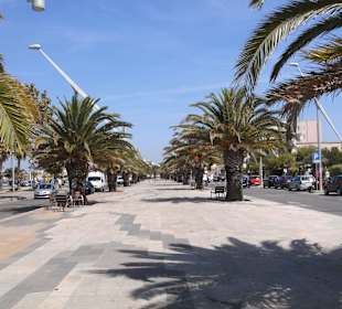 Hafen Alghero