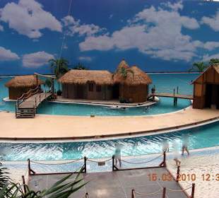 Südsee mit Fotohintergrund