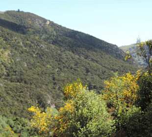 Mit der Taieri Railway durch die Natur Neuselands