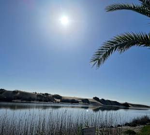 Dünen von Maspalomas